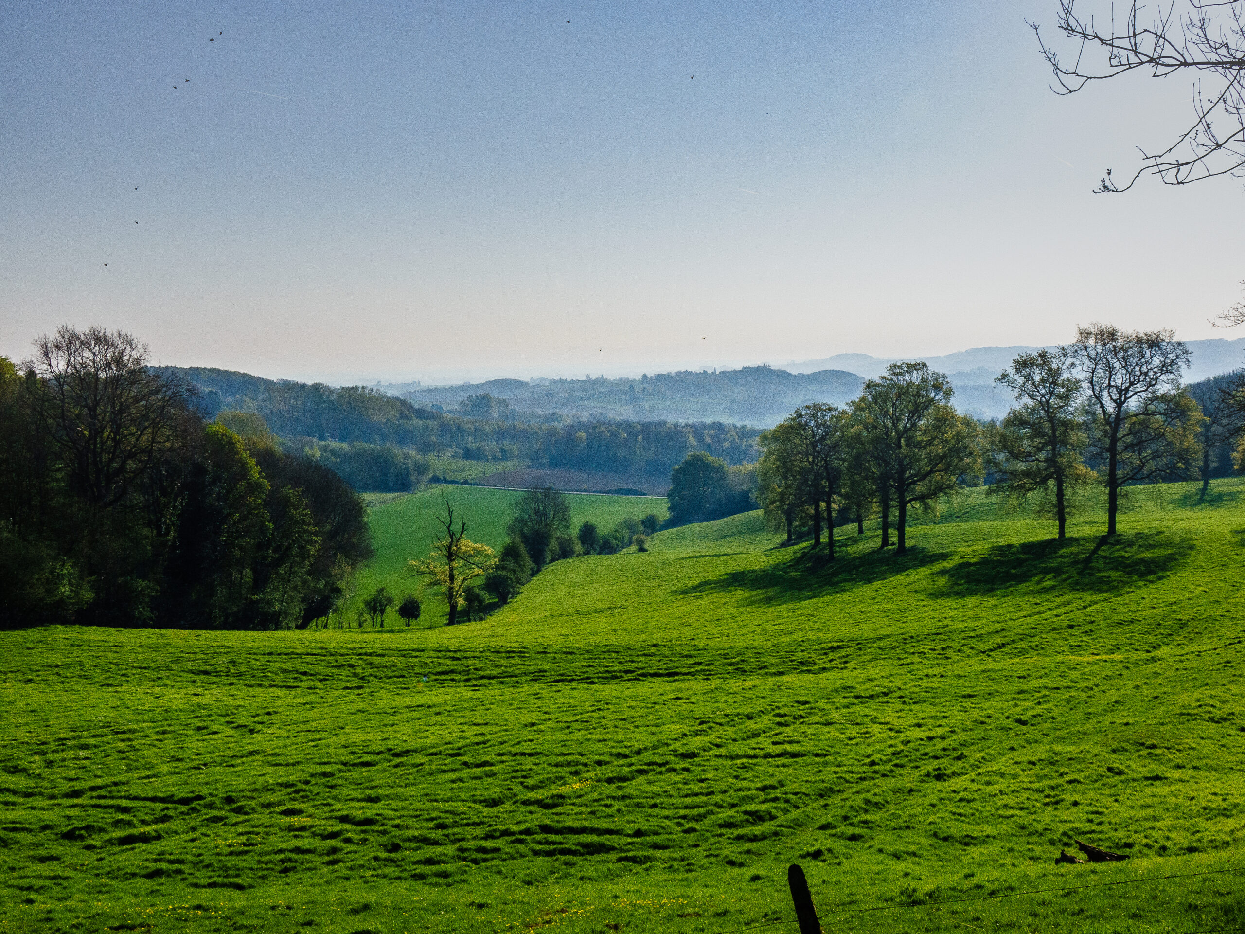 In Flanders Trail, le premier espace trail transfrontalier